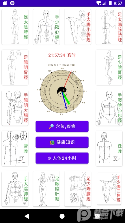 中医经络穴位流注app无广告版