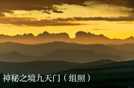 新卓尼app安卓版