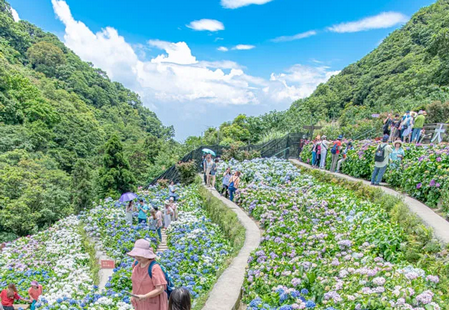 云上竹山 云上竹山