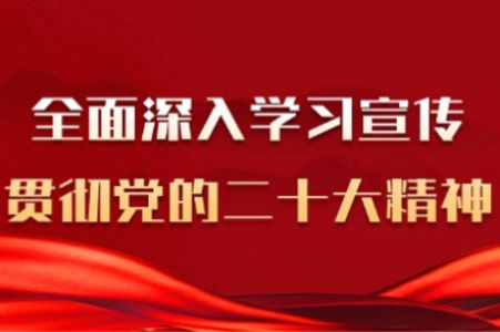 精河好地方app安卓版 精河好地方app安卓版