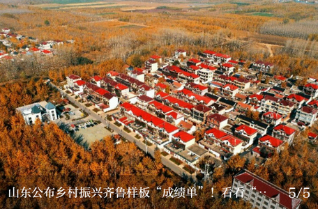 济南发布app官方版