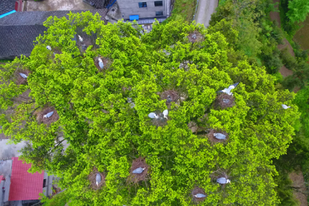 酉州城事酉阳云课堂官方版 酉州城事酉阳云课堂官方版