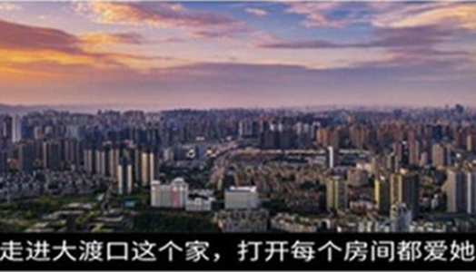 2022大渡口之声app手机版