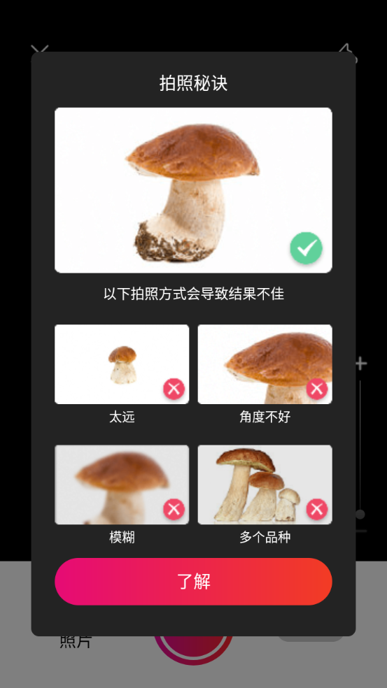 蘑菇识别扫一扫中文版