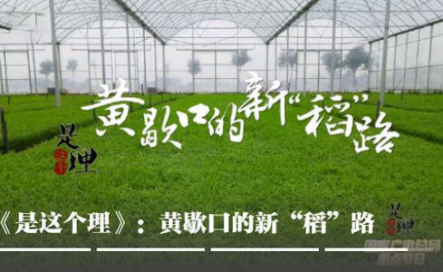云上社科app官方版