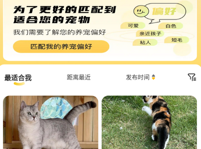 附近有喵app安卓版