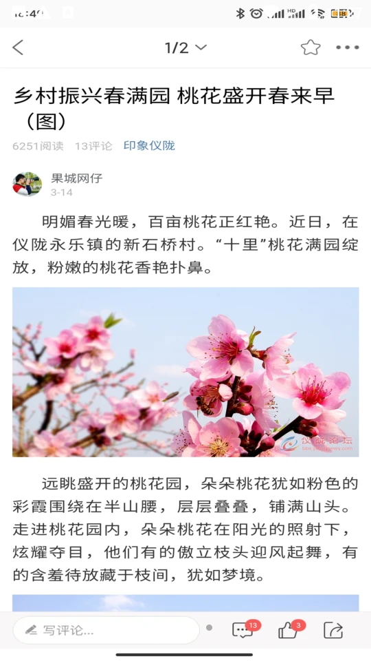 智慧仪陇, 智慧仪陇 智慧仪陇, 智慧仪陇