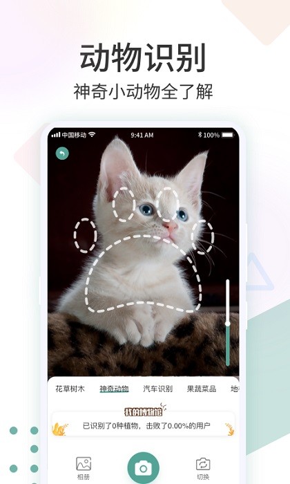 点击查看大图