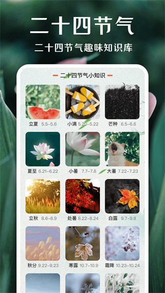 拍照识花app